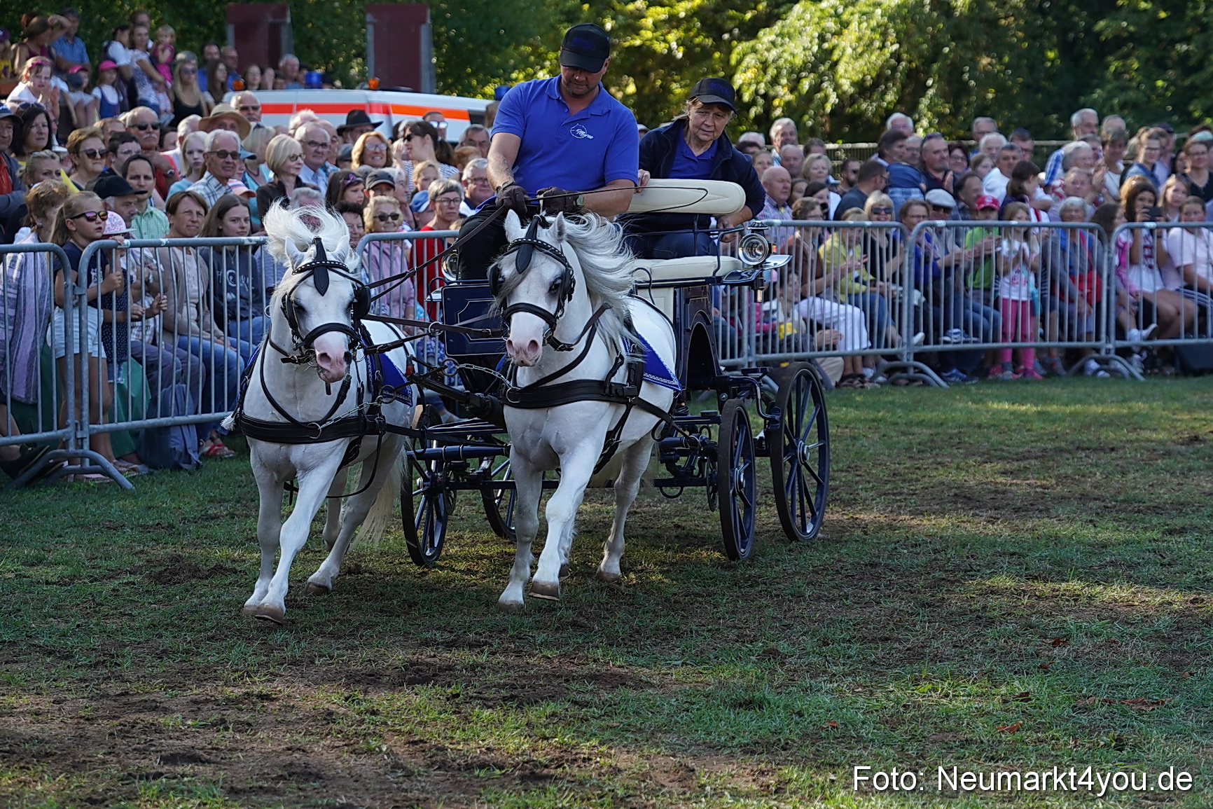 Pferde und Fohlenschau 2022 0098 